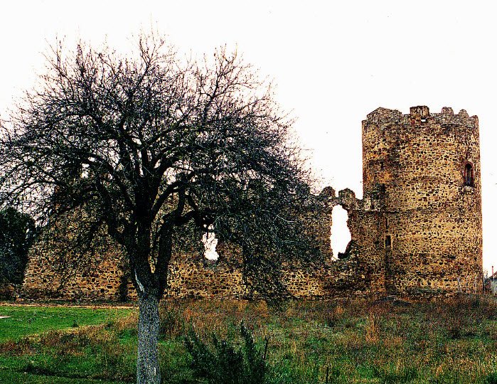 Palacios de la Valduerna Castle, Spain